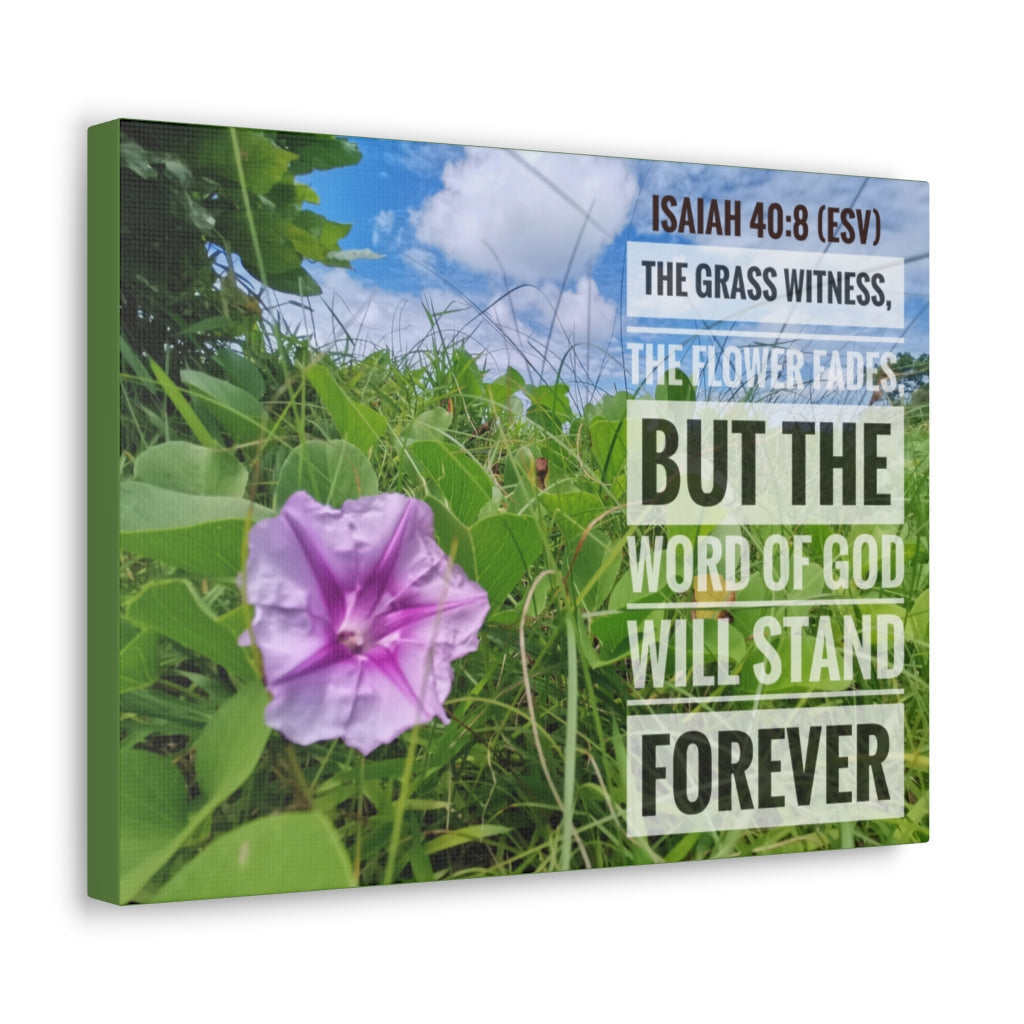 Scripture Walls Will Stand Forever Isaiah 40:8 Bible Verse Canvas Christian Wall Art Ready to Hang Unframed-Express Your Love Gifts