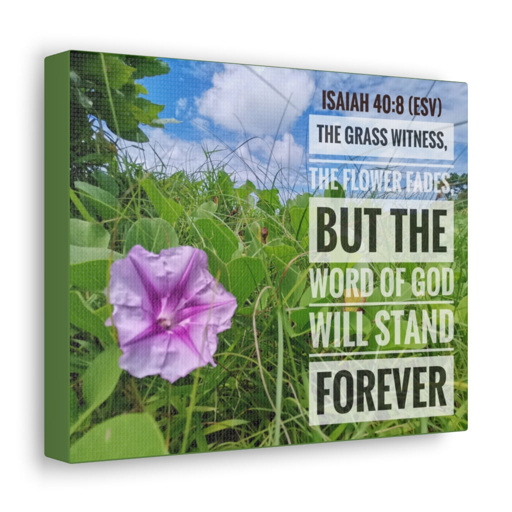 Scripture Walls Will Stand Forever Isaiah 40:8 Bible Verse Canvas Christian Wall Art Ready to Hang Unframed-Express Your Love Gifts
