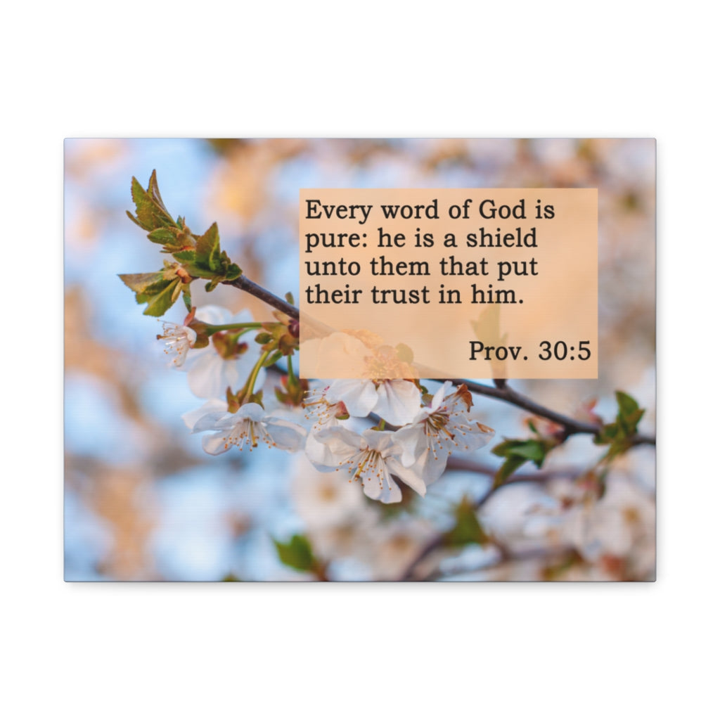 Scripture Walls Word Of God Is Pure Proverbs 30:5 Bible Verse Canvas Christian Wall Art Ready to Hang Unframed-Express Your Love Gifts