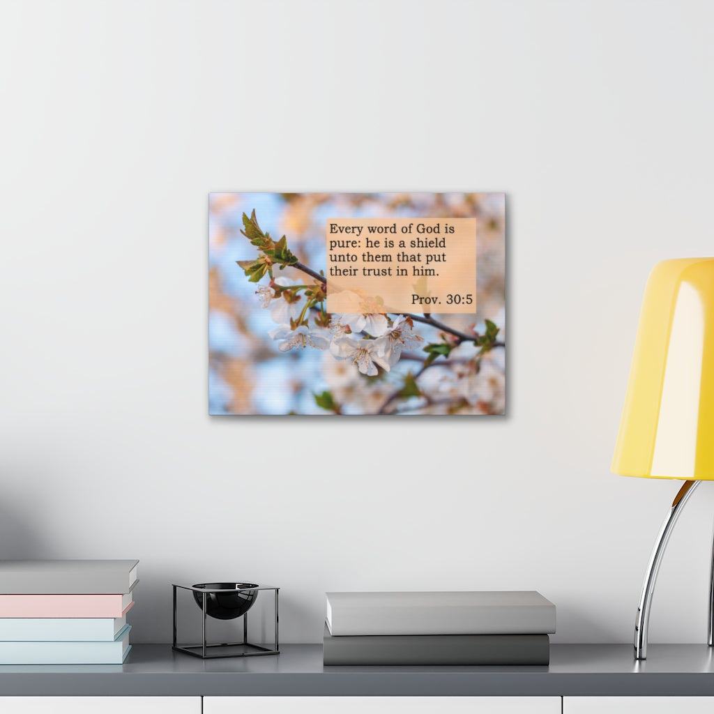 Scripture Walls Word Of God Is Pure Proverbs 30:5 Bible Verse Canvas Christian Wall Art Ready to Hang Unframed-Express Your Love Gifts