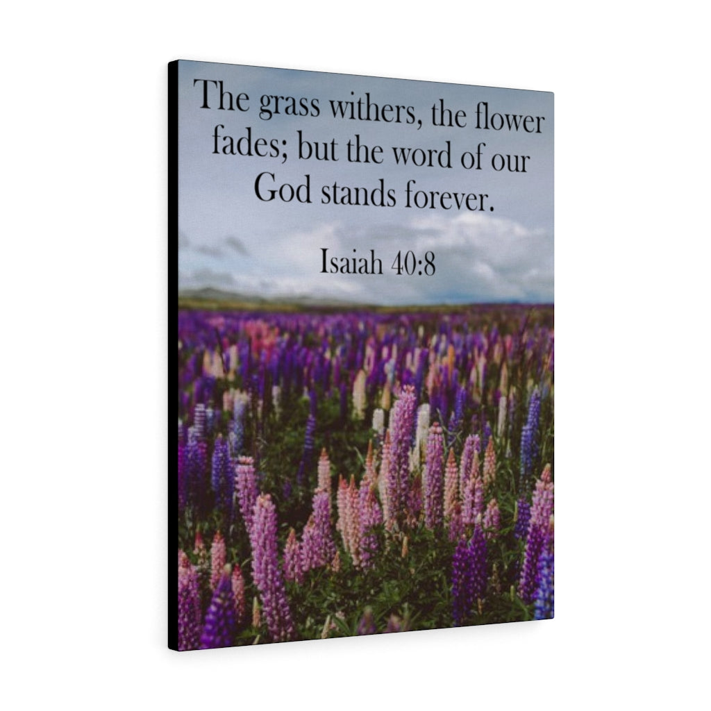 Scripture Walls Word of God Stands Forever Isaiah 40:8 Bible Verse Canvas Christian Wall Art Ready to Hang Unframed-Express Your Love Gifts