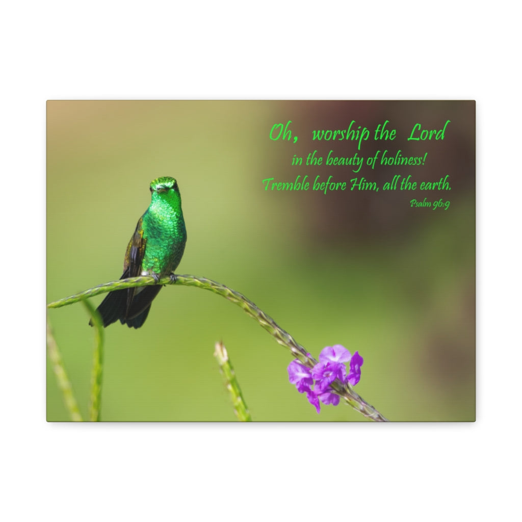 Scripture Walls Worship The Lord Psalm 96:9 Bible Verse Canvas Christian Wall Art Ready to Hang Unframed-Express Your Love Gifts