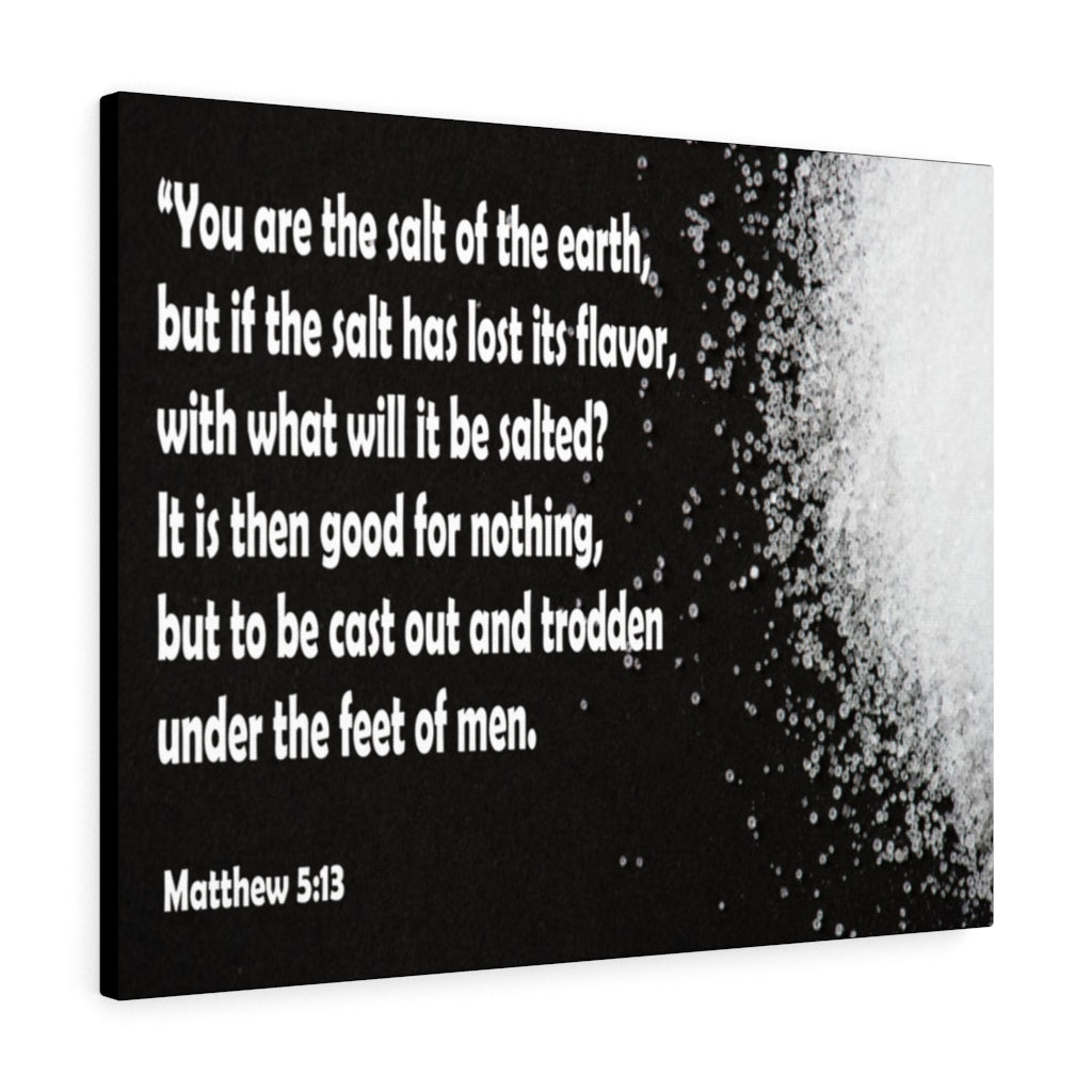 Scripture Walls You Are The Salt of The Earth Matthew 5:13 Bible Verse Canvas Christian Wall Art Ready to Hang Unframed-Express Your Love Gifts