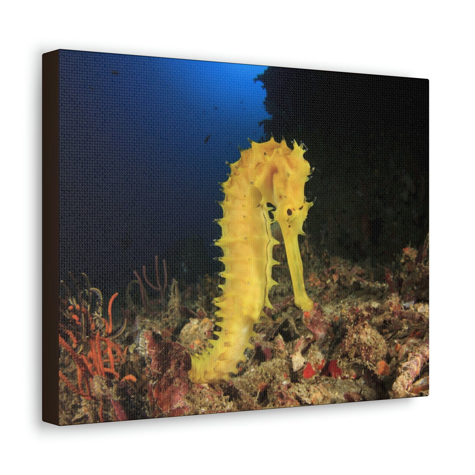 Scripture Walls Seahorse Hunting Seahorse on Hunt Print Animal Wall Art Wildlife Canvas Prints Wall Art Ready to Hang Unframed-Express Your Love Gifts
