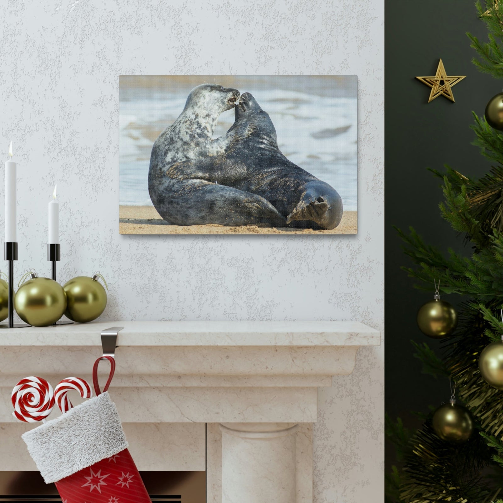 Scripture Walls Seal Couple Seal Couple Print Animal Wall Art Wildlife Canvas Prints Wall Art Ready to Hang Unframed-Express Your Love Gifts