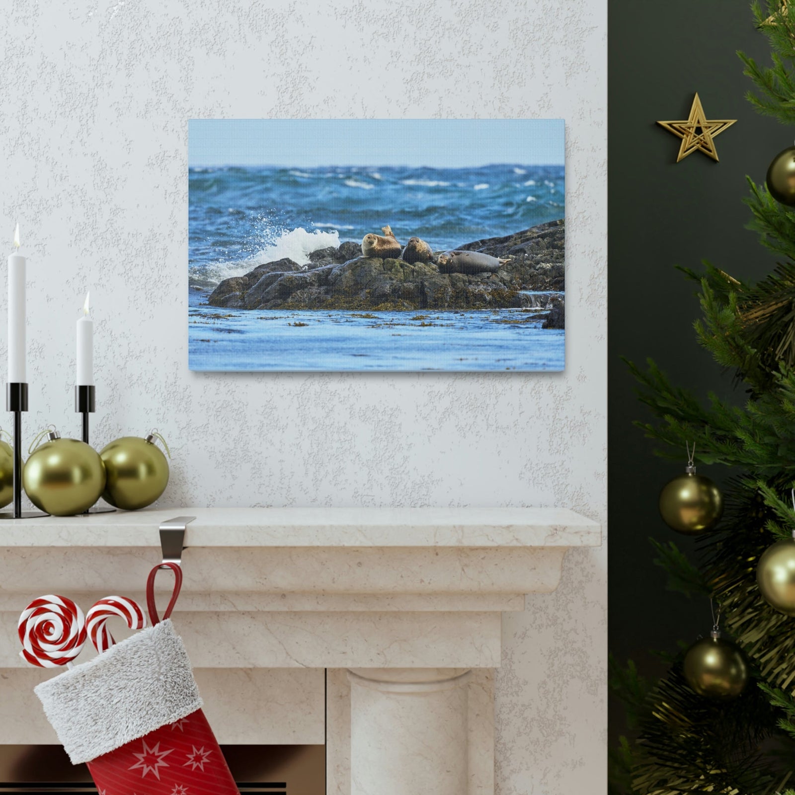 Seal Group Chilling on the Coastline Wall Art Wildlife Canvas Prints Wall Art Ready to Hang Unframed-Express Your Love Gifts