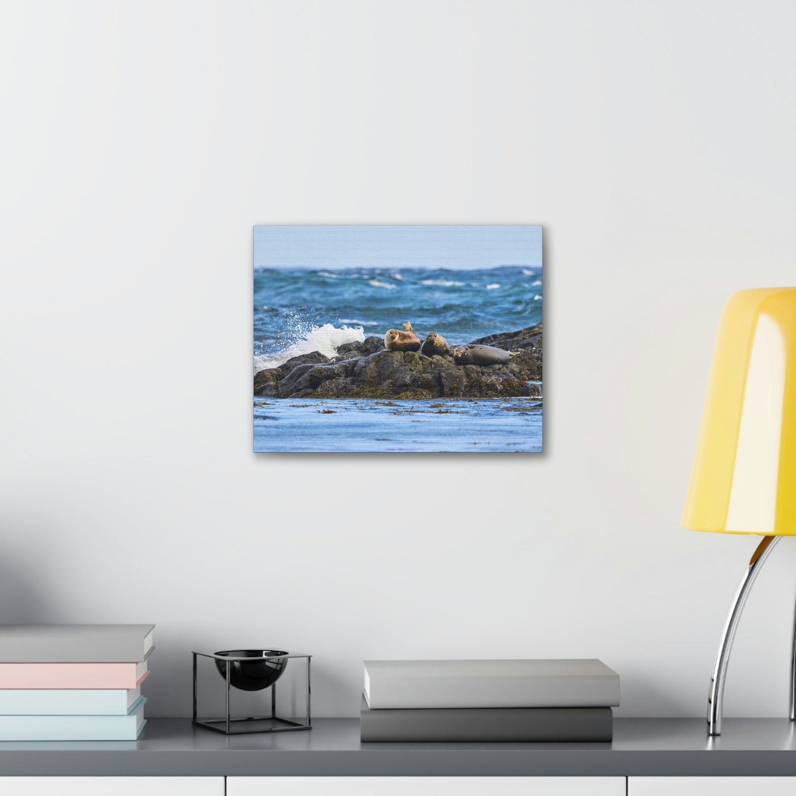 Seal Group Chilling on the Coastline Wall Art Wildlife Canvas Prints Wall Art Ready to Hang Unframed-Express Your Love Gifts