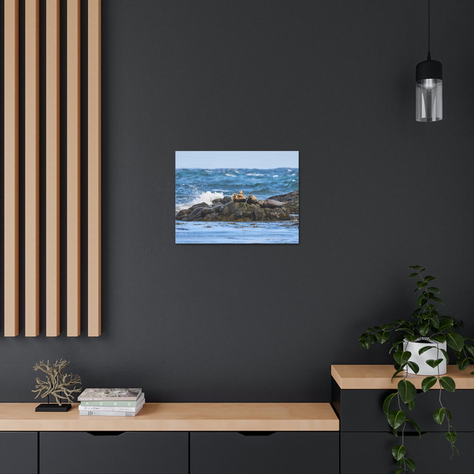 Seal Group Chilling on the Coastline Wall Art Wildlife Canvas Prints Wall Art Ready to Hang Unframed-Express Your Love Gifts