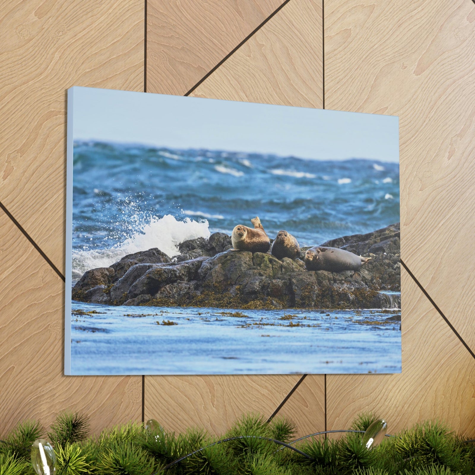 Seal Group Chilling on the Coastline Wall Art Wildlife Canvas Prints Wall Art Ready to Hang Unframed-Express Your Love Gifts