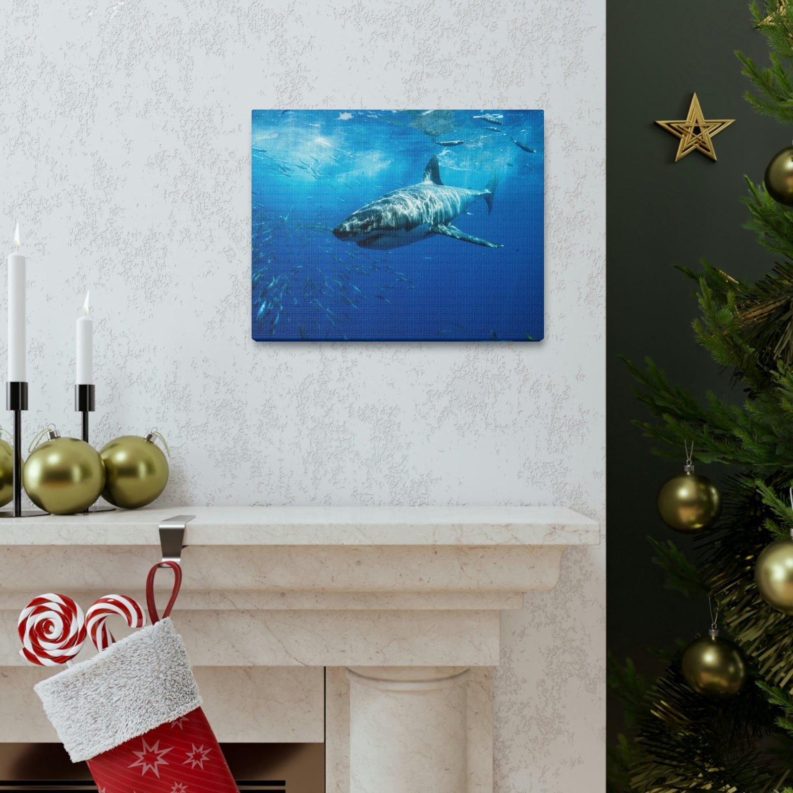 Scripture Walls Shark Hunting Shark on Hunt Print Animal Wall Art Wildlife Canvas Prints Wall Art Ready to Hang Unframed-Express Your Love Gifts