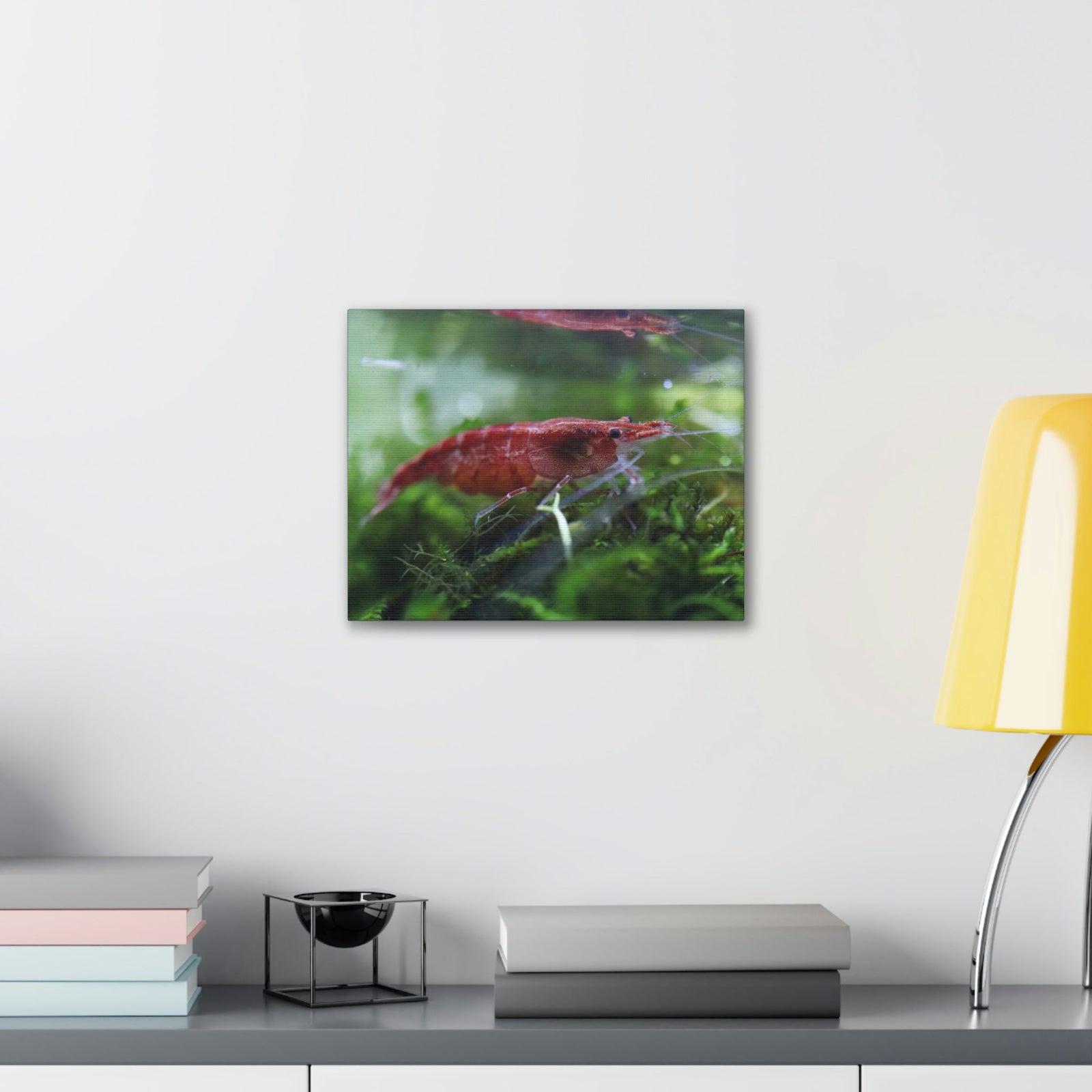 Scripture Walls Shrimp Hunting Shrimp on Hunt Print Animal Wall Art Wildlife Canvas Prints Wall Art Ready to Hang Unframed-Express Your Love Gifts