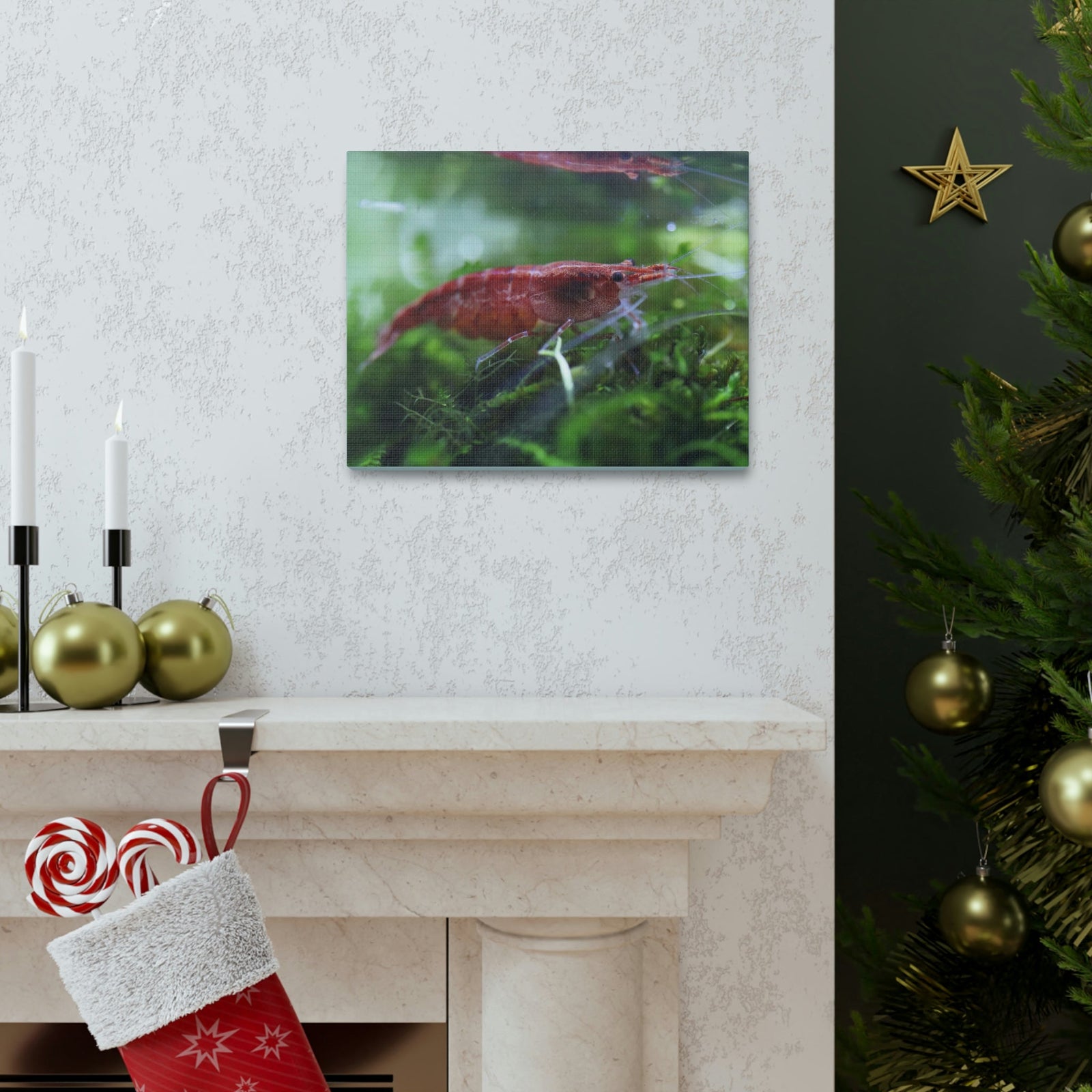 Scripture Walls Shrimp Hunting Shrimp on Hunt Print Animal Wall Art Wildlife Canvas Prints Wall Art Ready to Hang Unframed-Express Your Love Gifts