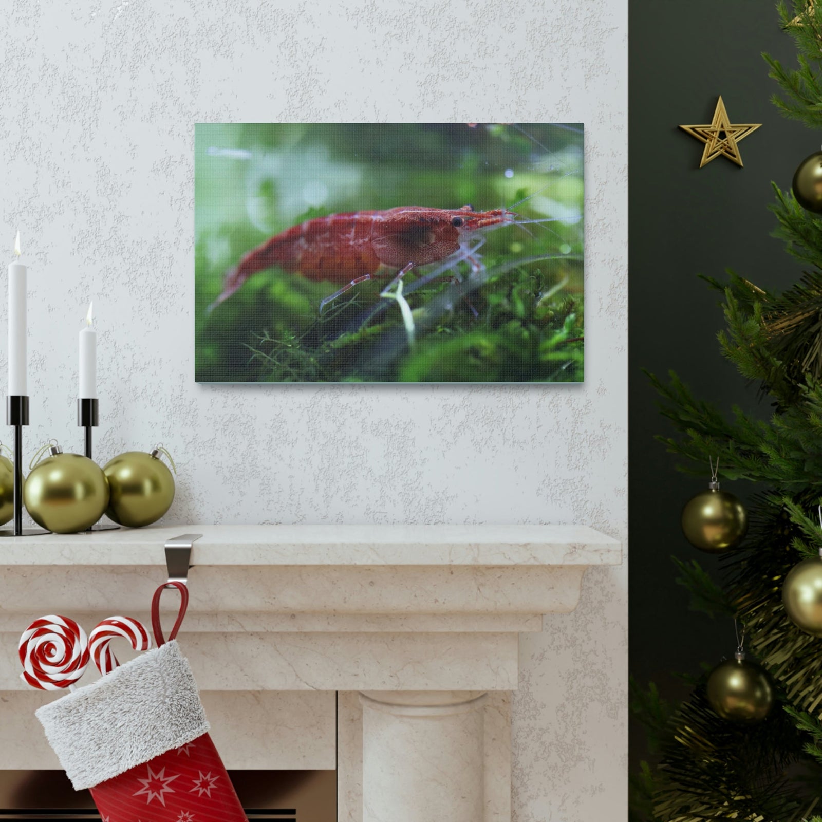 Scripture Walls Shrimp Hunting Shrimp on Hunt Print Animal Wall Art Wildlife Canvas Prints Wall Art Ready to Hang Unframed-Express Your Love Gifts