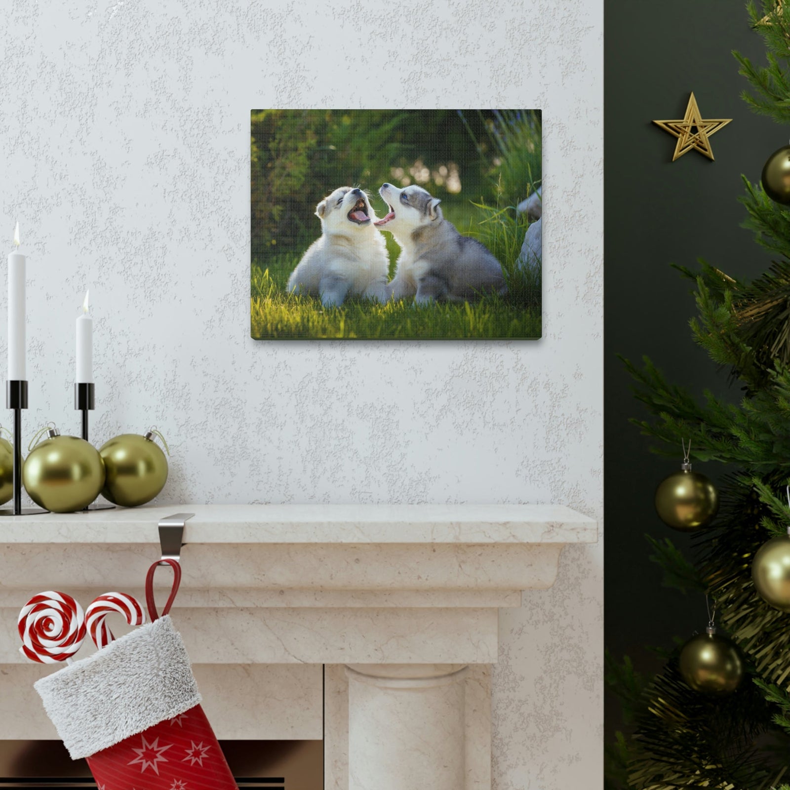 Scripture Walls Siberian Husky Couple Siberian Husky Couple Print Animal Wall Art Wildlife Canvas Prints Wall Art Ready to Hang Unframed-Express Your Love Gifts