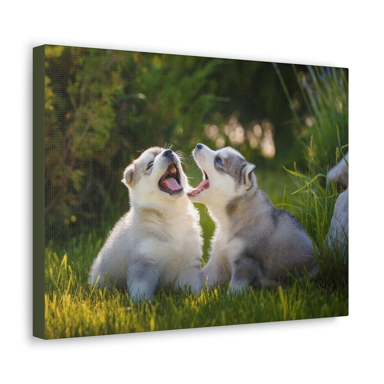Scripture Walls Siberian Husky Couple Siberian Husky Couple Print Animal Wall Art Wildlife Canvas Prints Wall Art Ready to Hang Unframed-Express Your Love Gifts