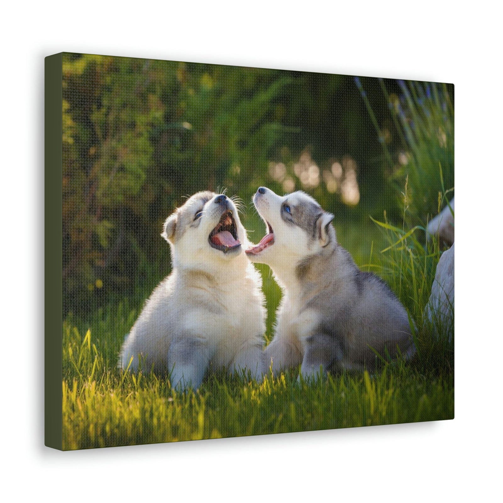 Scripture Walls Siberian Husky Couple Siberian Husky Couple Print Animal Wall Art Wildlife Canvas Prints Wall Art Ready to Hang Unframed-Express Your Love Gifts