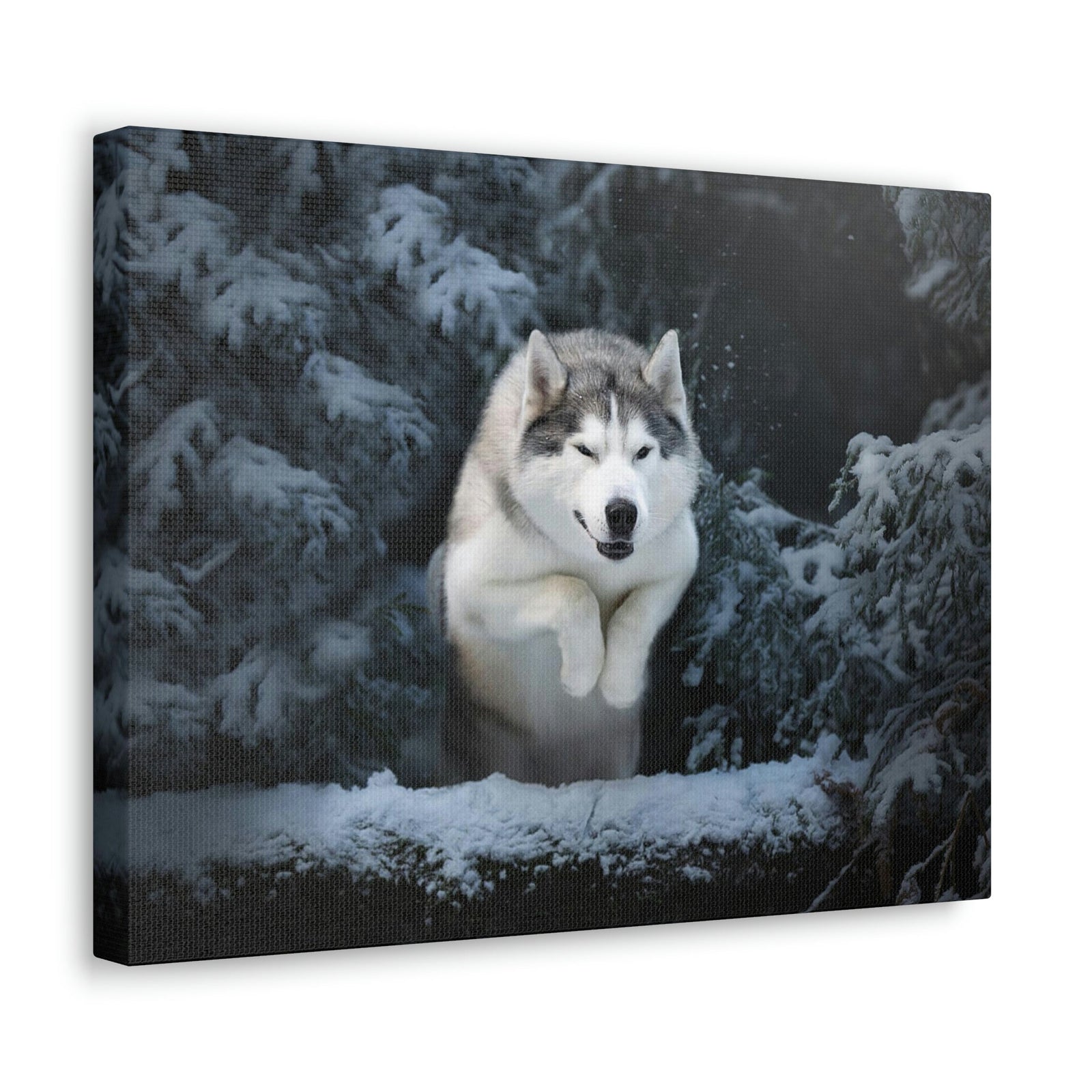 Scripture Walls Siberian Husky Hunting Siberian Husky on Hunt Print Animal Wall Art Wildlife Canvas Prints Wall Art Ready to Hang Unframed-Express Your Love Gifts