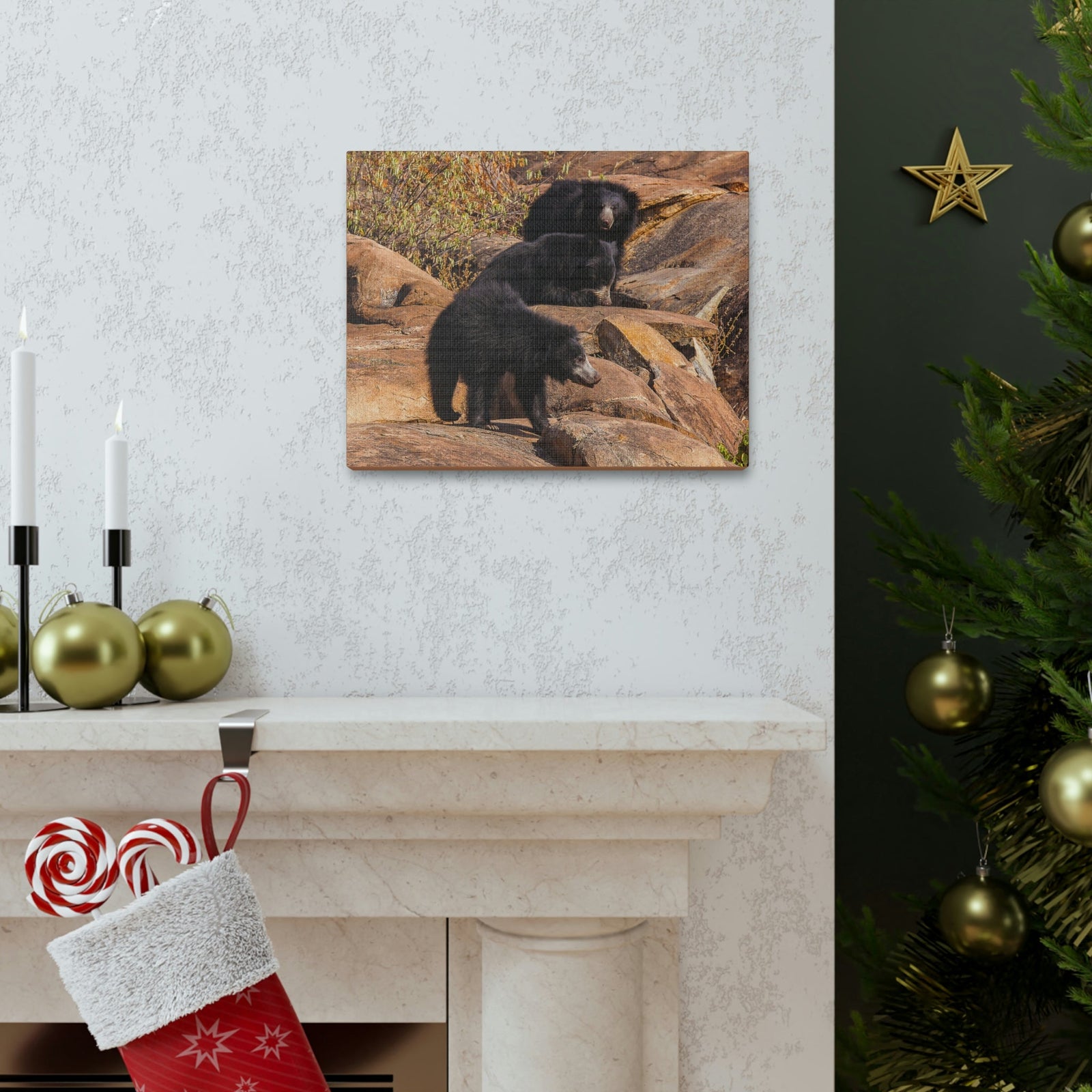 Scripture Walls Sloth Bear Group Sloth Bear Troop Print Animal Wall Art Wildlife Canvas Prints Wall Art Ready to Hang Unframed-Express Your Love Gifts