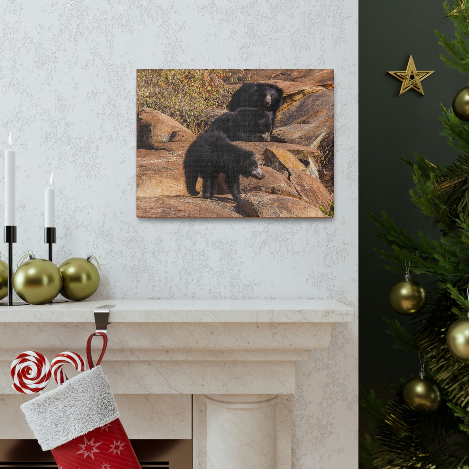 Scripture Walls Sloth Bear Group Sloth Bear Troop Print Animal Wall Art Wildlife Canvas Prints Wall Art Ready to Hang Unframed-Express Your Love Gifts