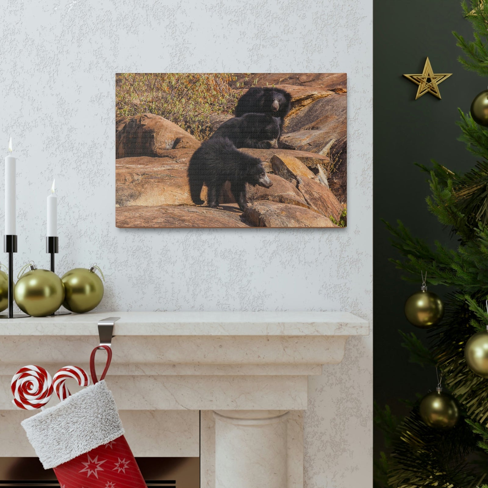 Scripture Walls Sloth Bear Group Sloth Bear Troop Print Animal Wall Art Wildlife Canvas Prints Wall Art Ready to Hang Unframed-Express Your Love Gifts