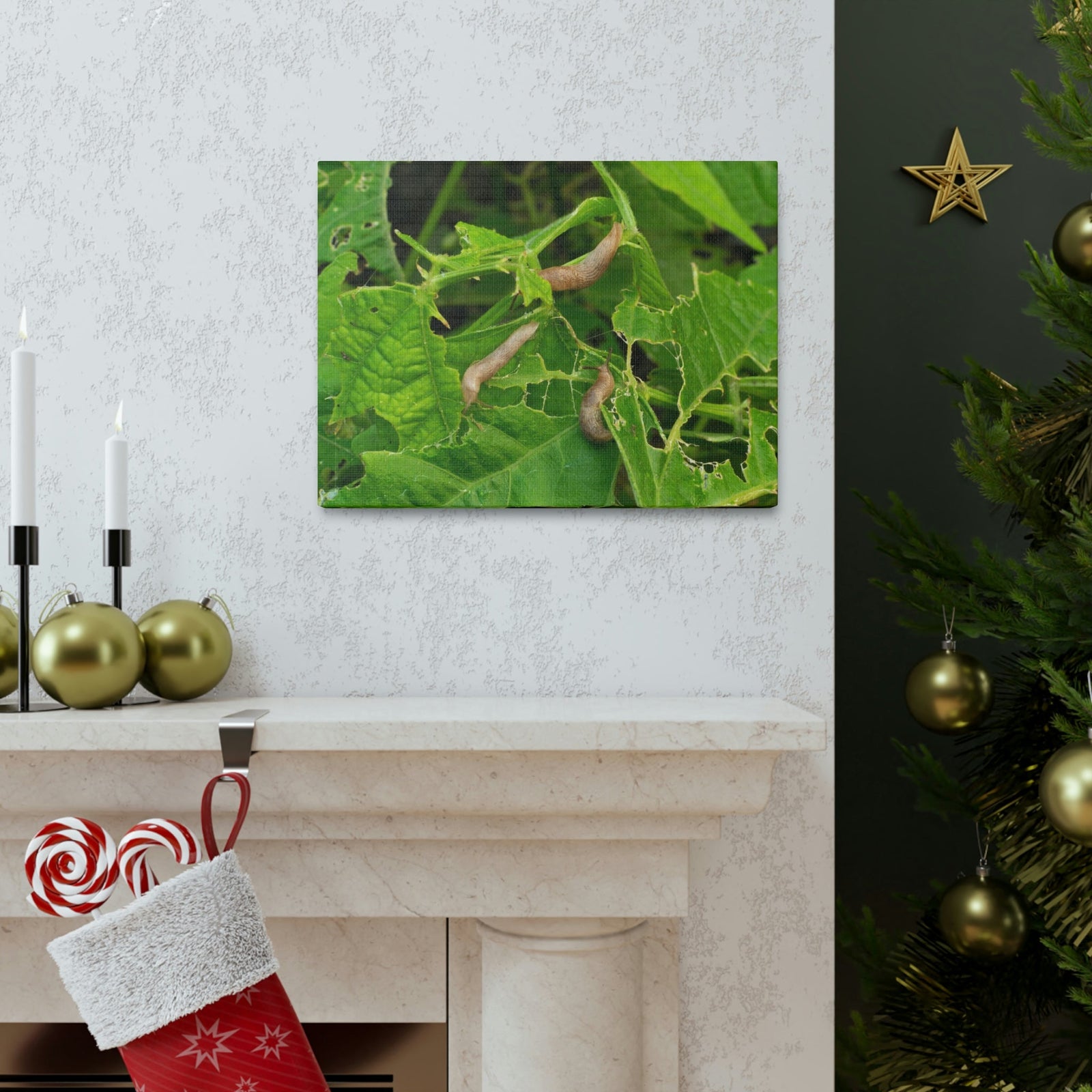 Scripture Walls Slug Hunting Slug on Hunt Print Animal Wall Art Wildlife Canvas Prints Wall Art Ready to Hang Unframed-Express Your Love Gifts