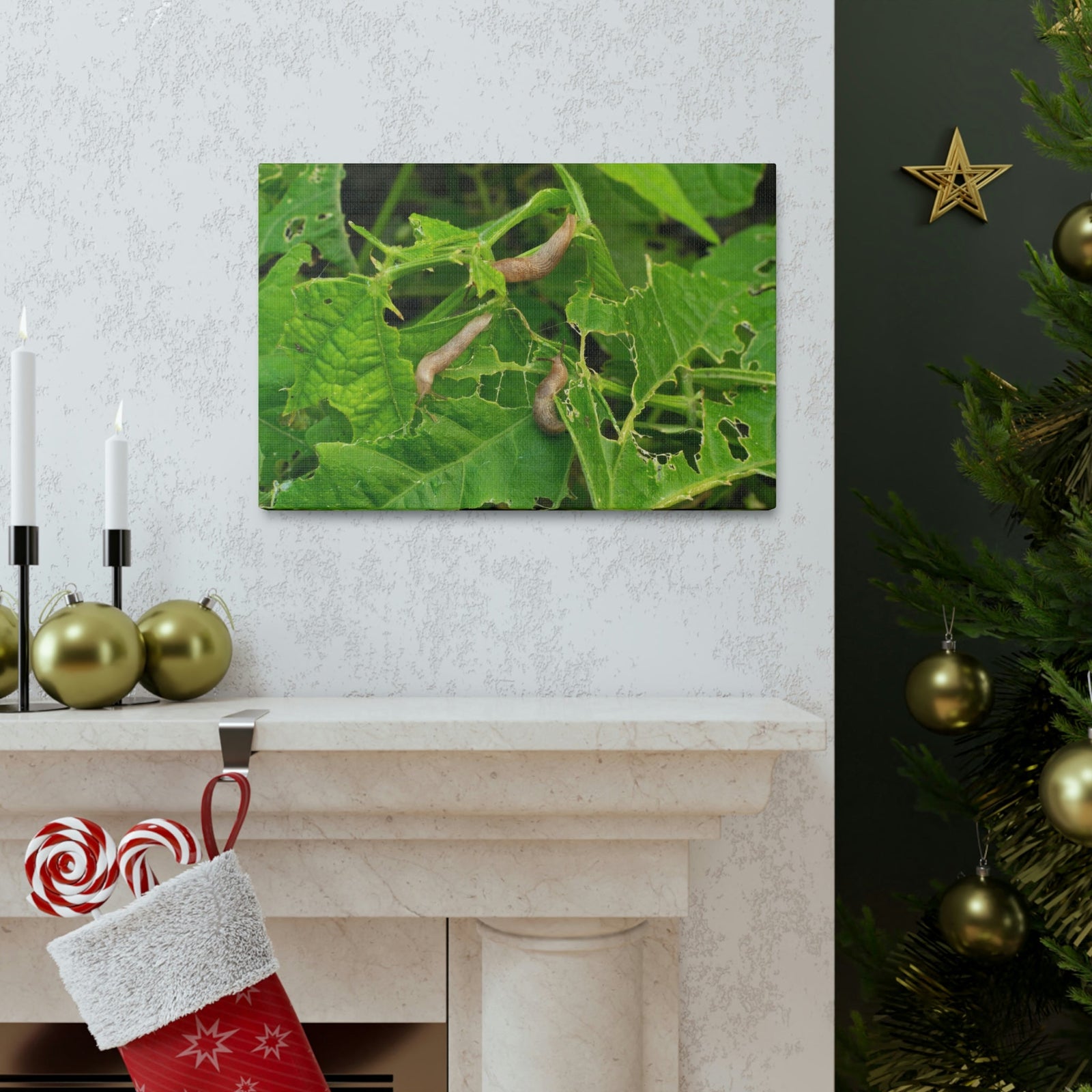 Scripture Walls Slug Hunting Slug on Hunt Print Animal Wall Art Wildlife Canvas Prints Wall Art Ready to Hang Unframed-Express Your Love Gifts