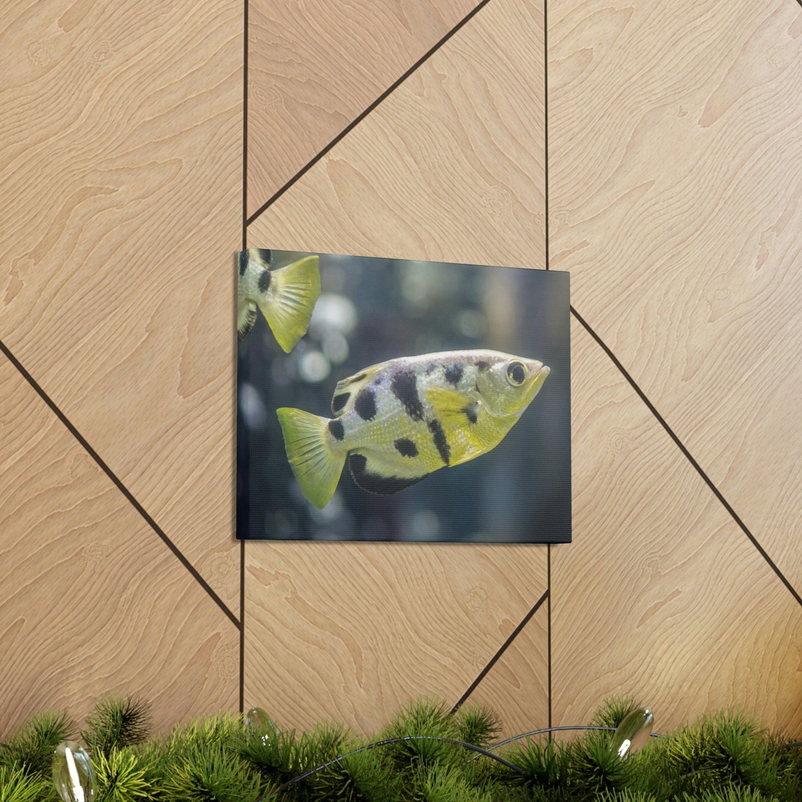Small Archer Fish Archer Fish In Aquarium Wall Art Ready To Hang Unframed-Express Your Love Gifts