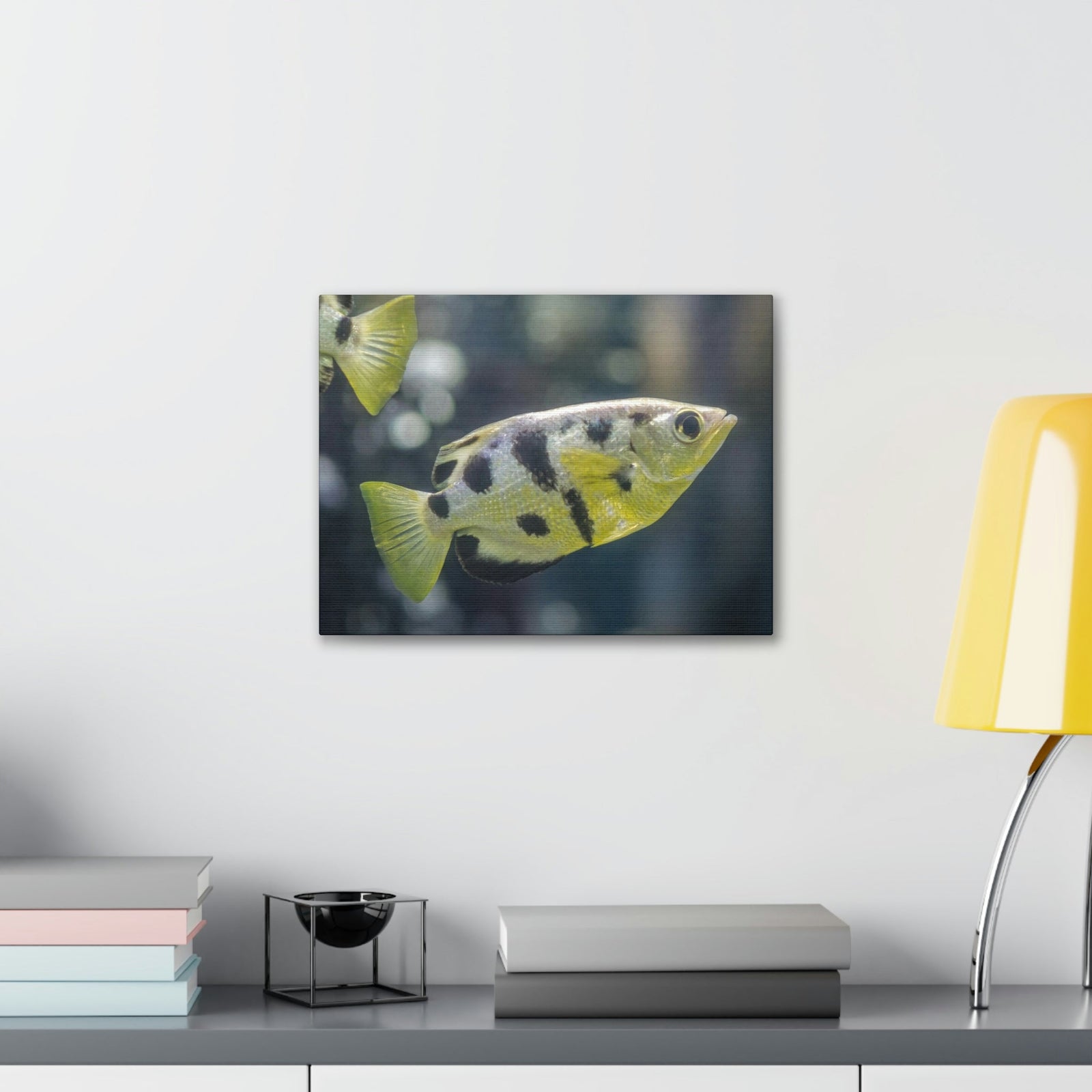 Small Archer Fish Archer Fish In Aquarium Wall Art Ready To Hang Unframed-Express Your Love Gifts