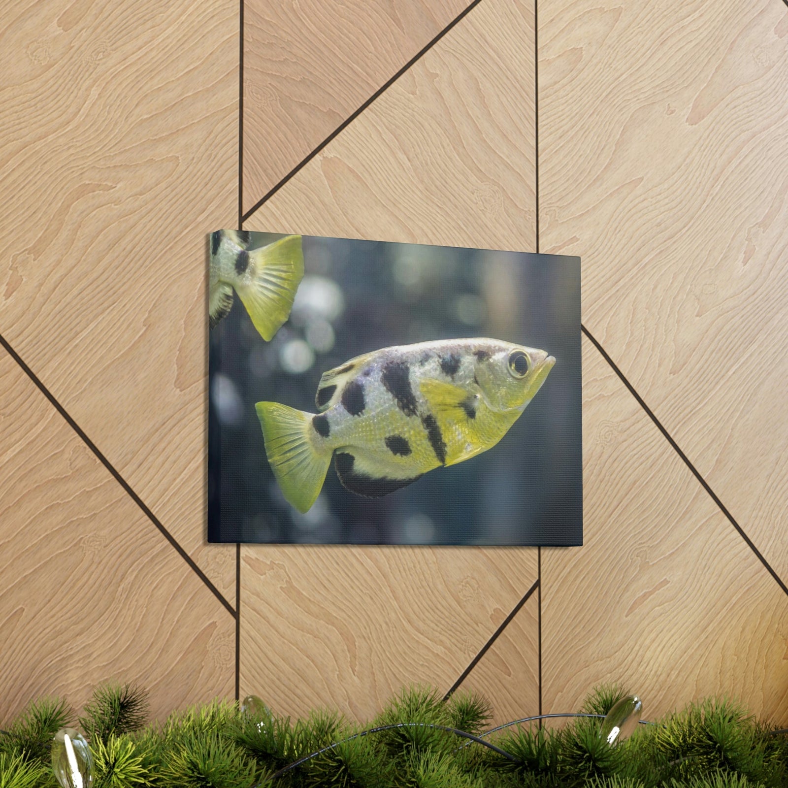 Small Archer Fish Archer Fish In Aquarium Wall Art Ready To Hang Unframed-Express Your Love Gifts