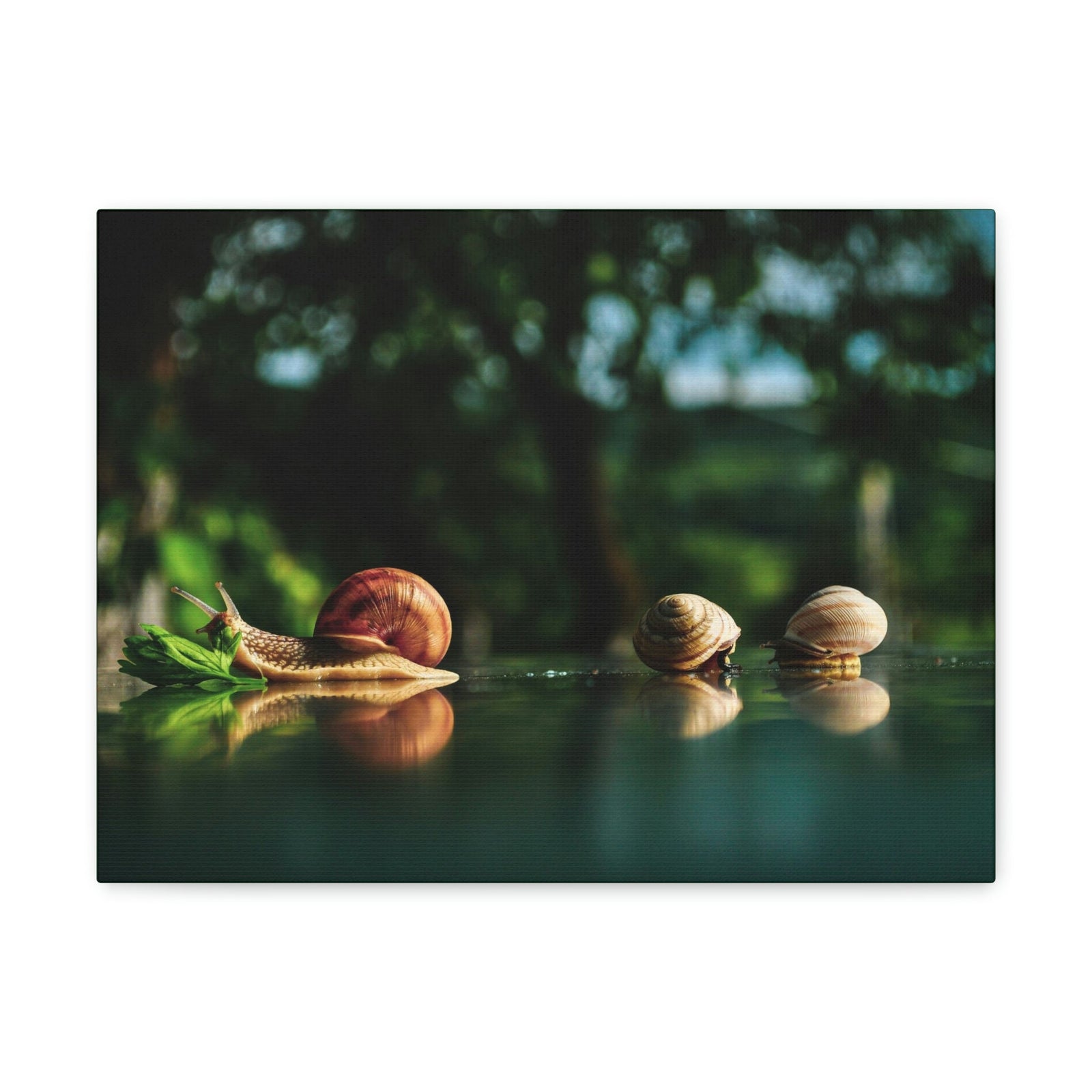 Scripture Walls Snails Group Snails Troop Print Animal Wall Art Wildlife Canvas Prints Wall Art Ready to Hang Unframed-Express Your Love Gifts