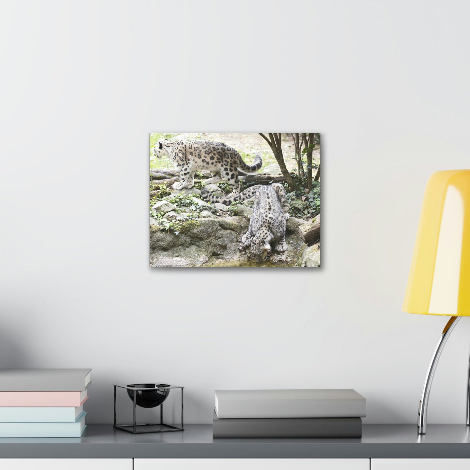 Scripture Walls Snow Leopard Couple Snow Leopard Couple Print Animal Wall Art Wildlife Canvas Prints Wall Art Ready to Hang Unframed-Express Your Love Gifts