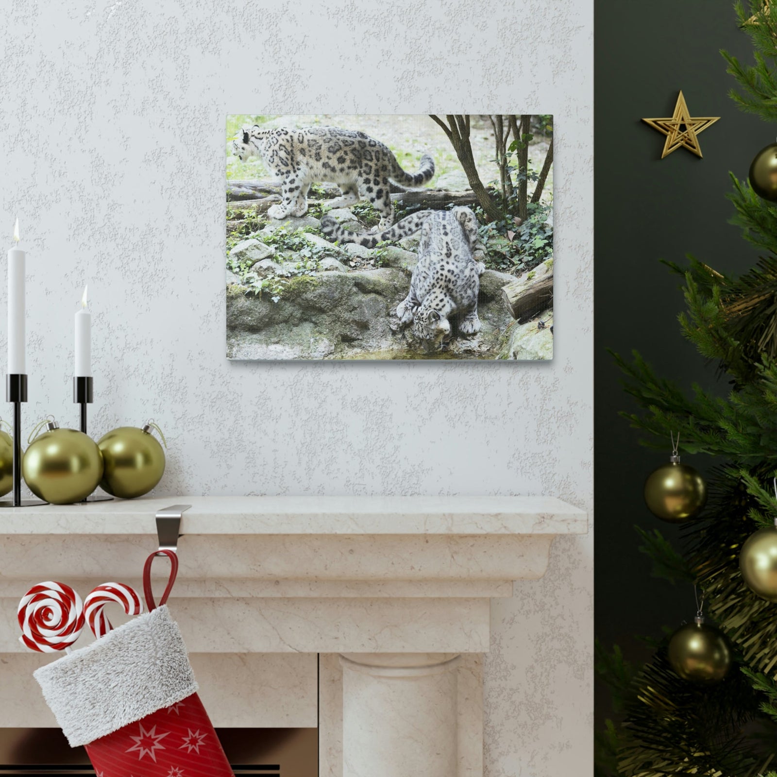 Scripture Walls Snow Leopard Couple Snow Leopard Couple Print Animal Wall Art Wildlife Canvas Prints Wall Art Ready to Hang Unframed-Express Your Love Gifts