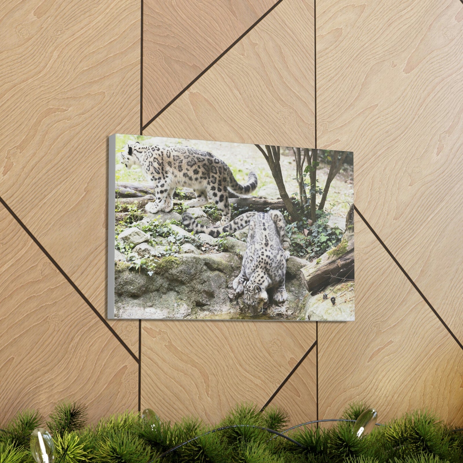 Scripture Walls Snow Leopard Couple Snow Leopard Couple Print Animal Wall Art Wildlife Canvas Prints Wall Art Ready to Hang Unframed-Express Your Love Gifts