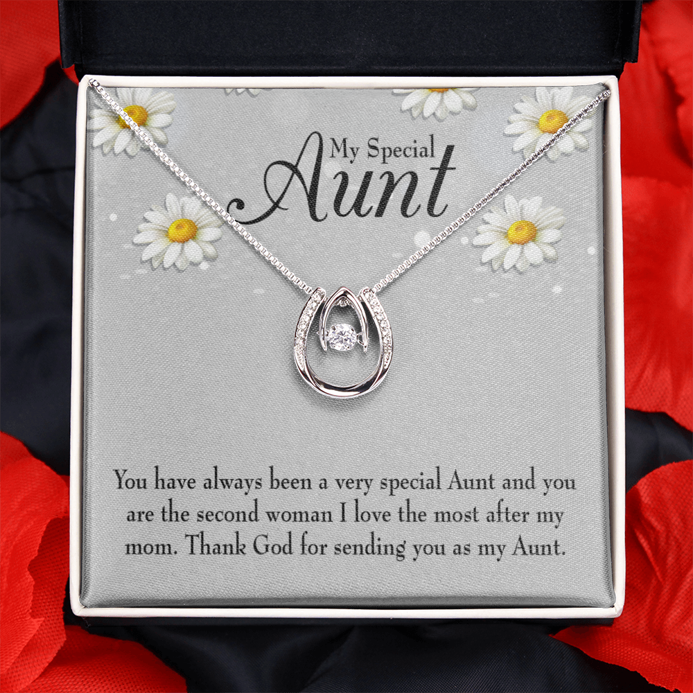 Special Aunt Lucky Horseshoe Necklace Message Card 14k w CZ Crystals-Express Your Love Gifts