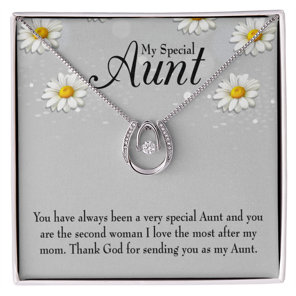Special Aunt Lucky Horseshoe Necklace Message Card 14k w CZ Crystals-Express Your Love Gifts