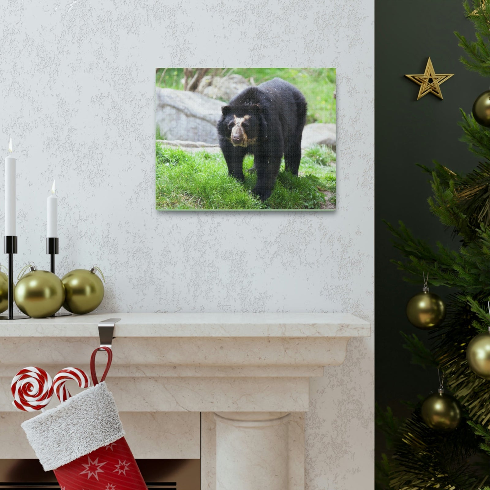 Scripture Walls Spectacled Bear Hunting Spectacled Bear on Hunt Print Animal Wall Art Wildlife Canvas Prints Wall Art Ready to Hang Unframed-Express Your Love Gifts