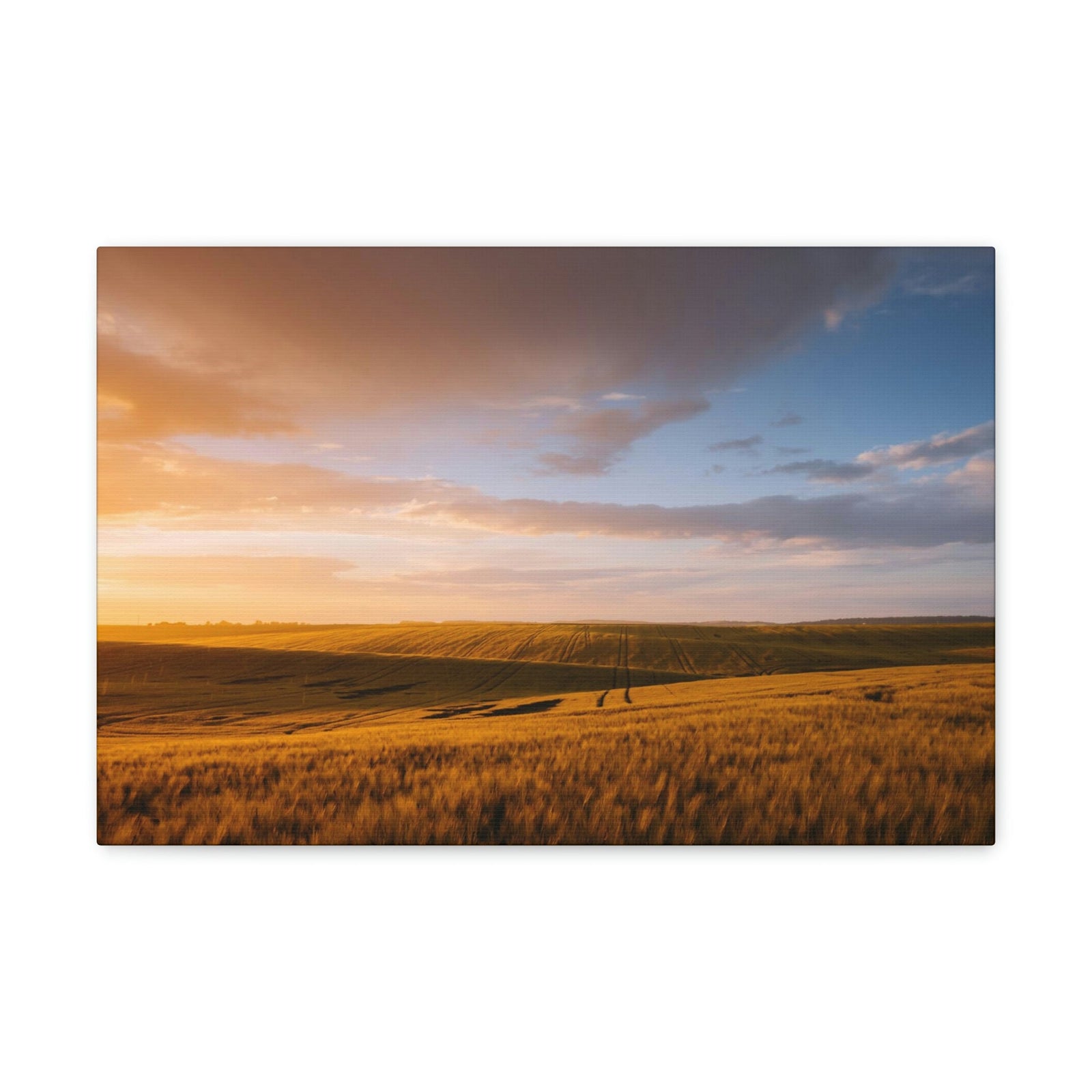 Splendid Agricultural Land in the Evening Scene Beautiful Captivating and Awesome Field Beauty Nature Scene Sunset on the Farm Wall Art Ready to Hang Unframed-Express Your Love Gifts