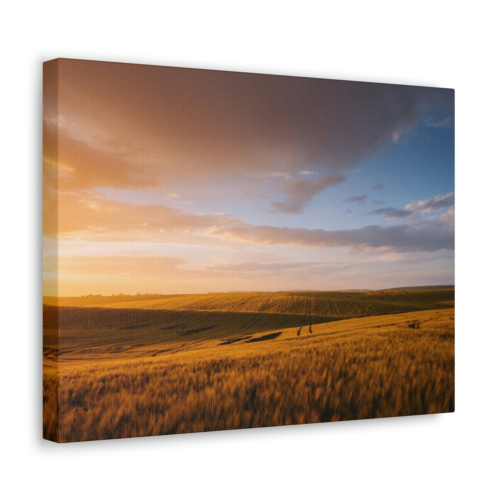 Splendid Agricultural Land in the Evening Scene Beautiful Captivating and Awesome Field Beauty Nature Scene Sunset on the Farm Wall Art Ready to Hang Unframed-Express Your Love Gifts