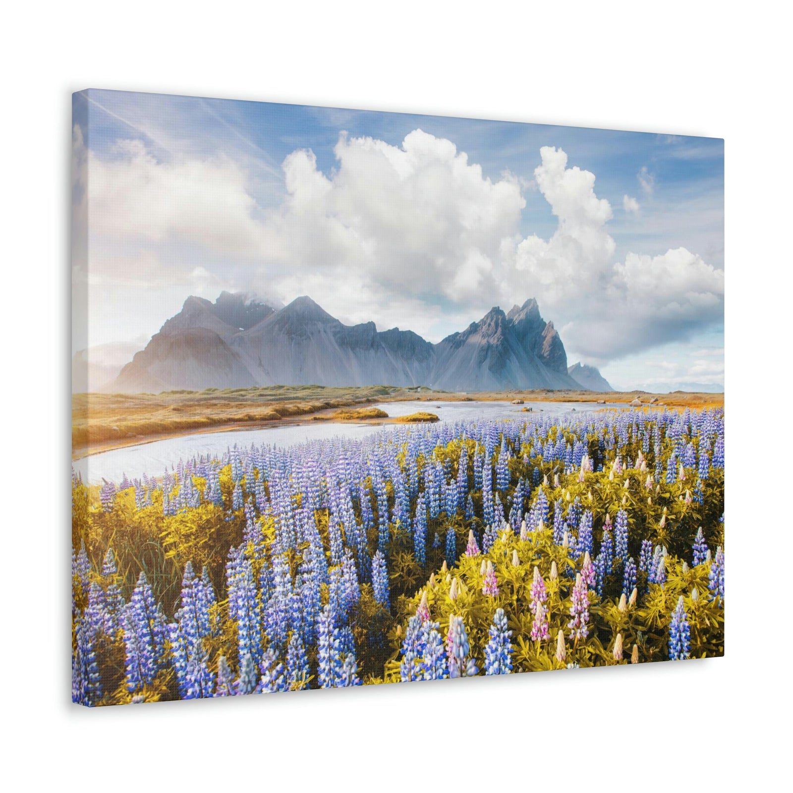 Splendid Lupine Flower on Sunny Day Scene Beautiful Surprising and Shocking Beauty Nature Scene View of Mountain in Flower Garden Wall Art Ready to Hang Unframed-Express Your Love Gifts