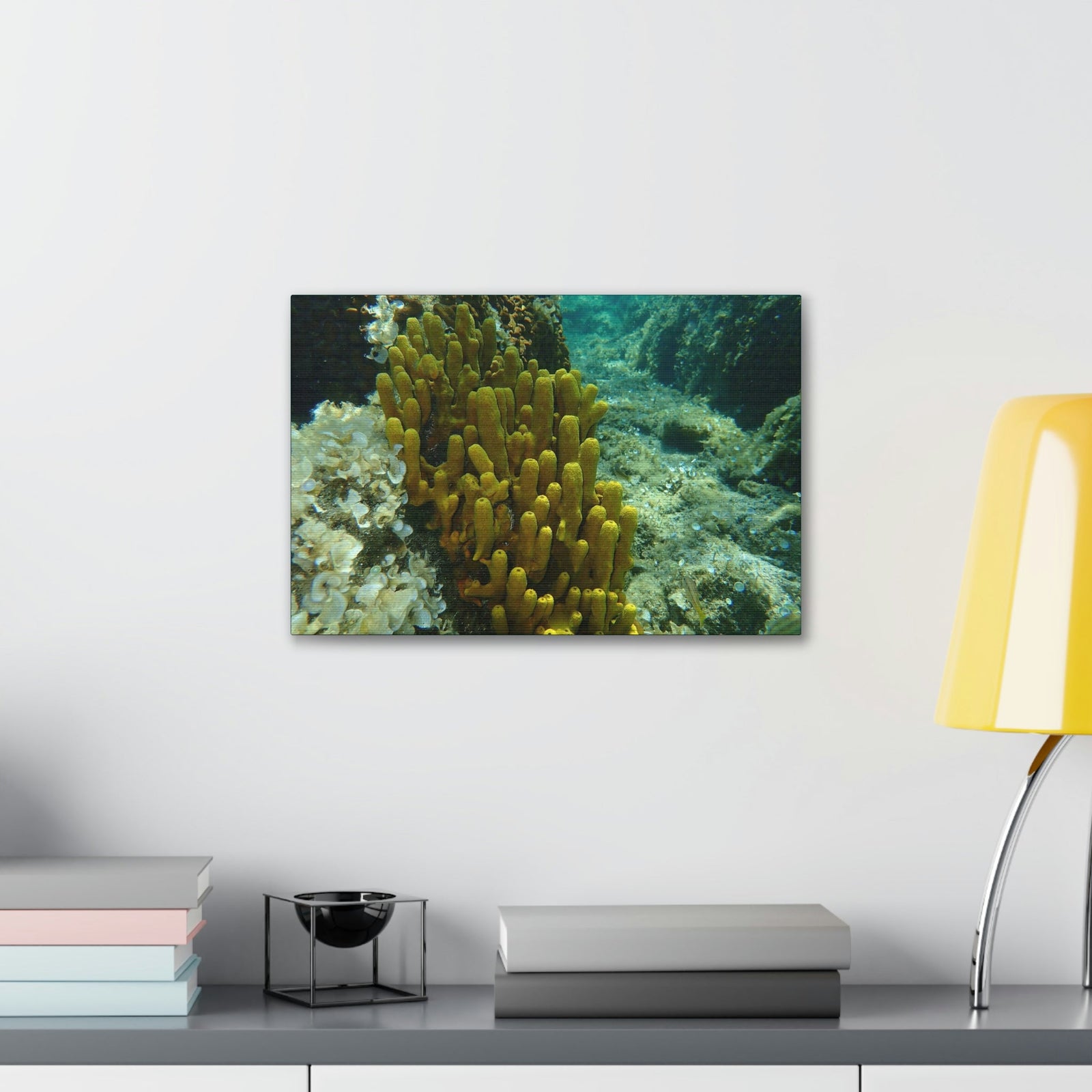 Scripture Walls Sponge Group Sponge Troop Print Animal Wall Art Wildlife Canvas Prints Wall Art Ready to Hang Unframed-Express Your Love Gifts