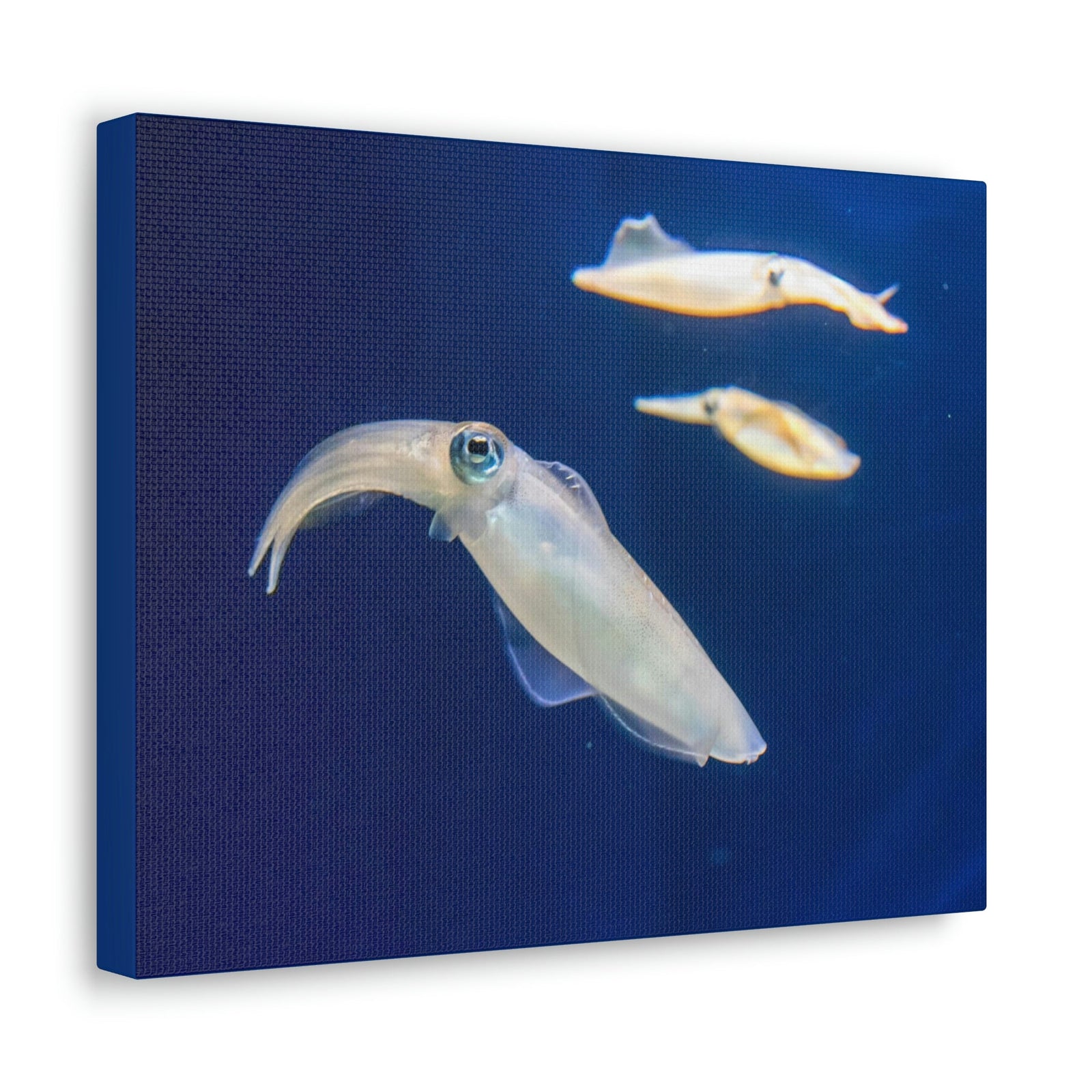 Scripture Walls Squid Group Squid Troop Print Animal Wall Art Wildlife Canvas Prints Wall Art Ready to Hang Unframed-Express Your Love Gifts