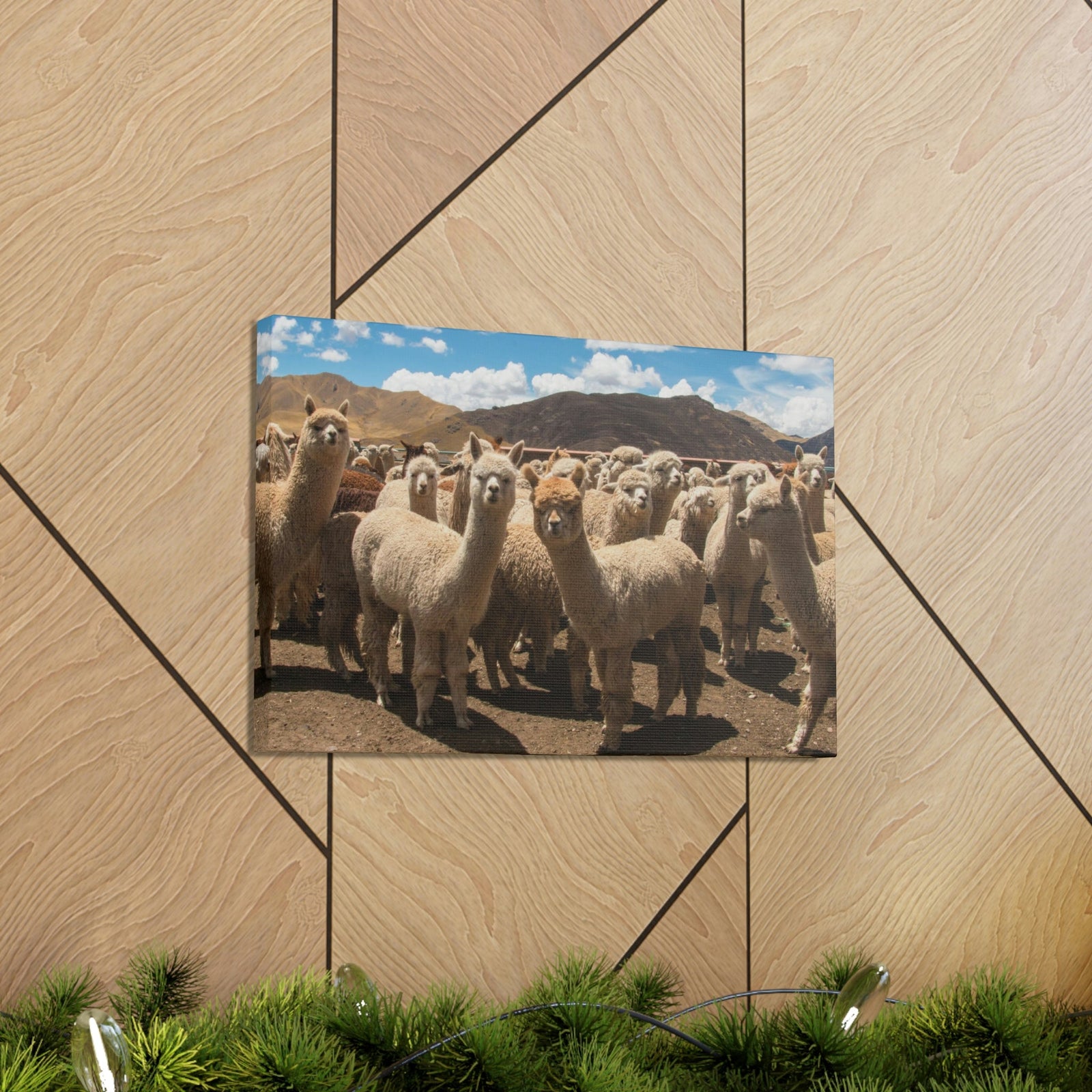 Staring Herd Of Alpaca Say Cheese Alpaca Outside Wall Art Ready To Hang Unframed-Express Your Love Gifts