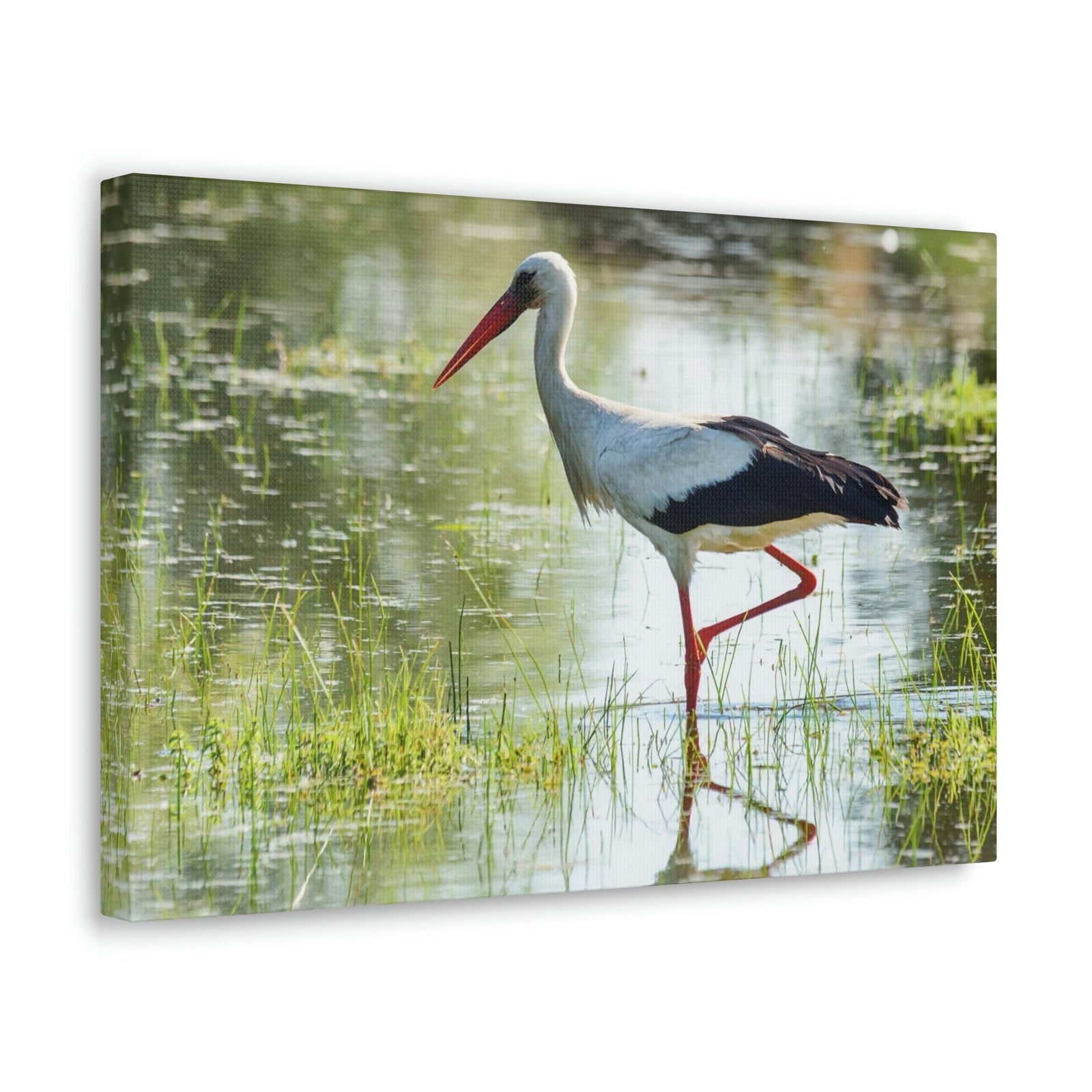 Scripture Walls Stork Hunting Stork on Hunt Print Animal Wall Art Wildlife Canvas Prints Wall Art Ready to Hang Unframed-Express Your Love Gifts