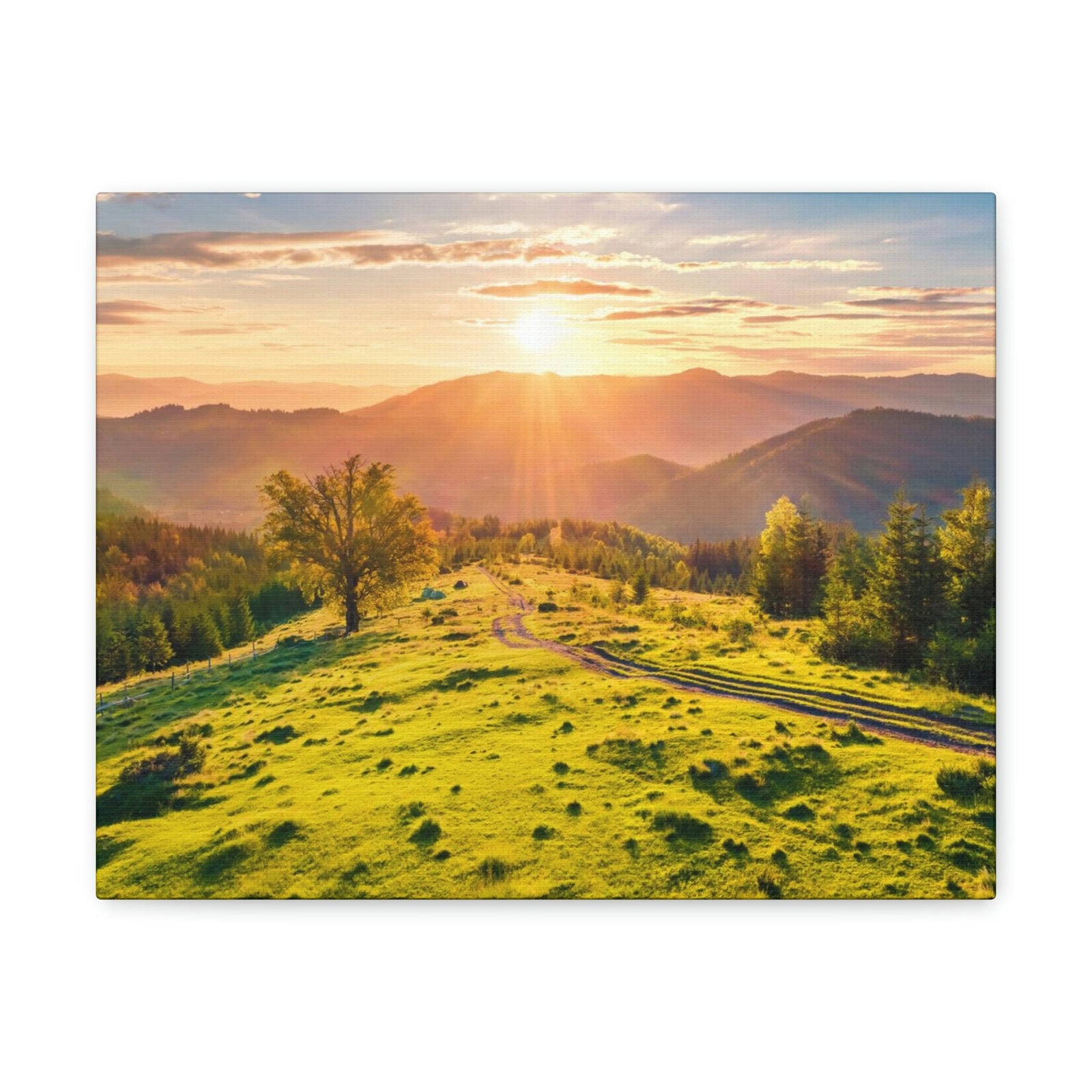 Sunrise Mountain Valley Scene Beautiful Fabulous Summer Beauty Nature Scene Carpathian Mountains Wall Art Ready to Hang Unframed-Express Your Love Gifts