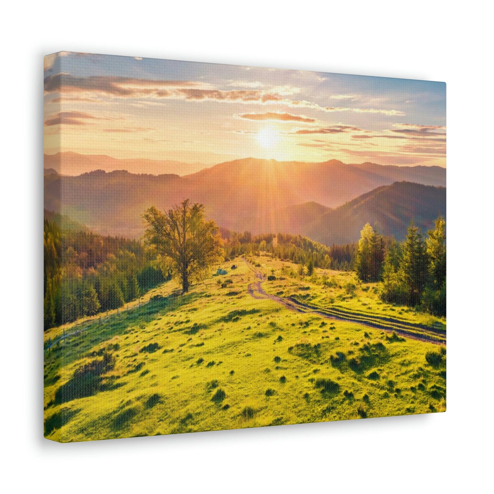 Sunrise Mountain Valley Scene Beautiful Fabulous Summer Beauty Nature Scene Carpathian Mountains Wall Art Ready to Hang Unframed-Express Your Love Gifts