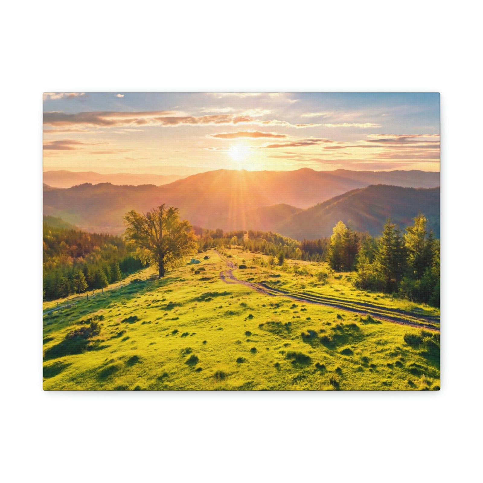 Sunrise Mountain Valley Scene Beautiful Fabulous Summer Beauty Nature Scene Carpathian Mountains Wall Art Ready to Hang Unframed-Express Your Love Gifts