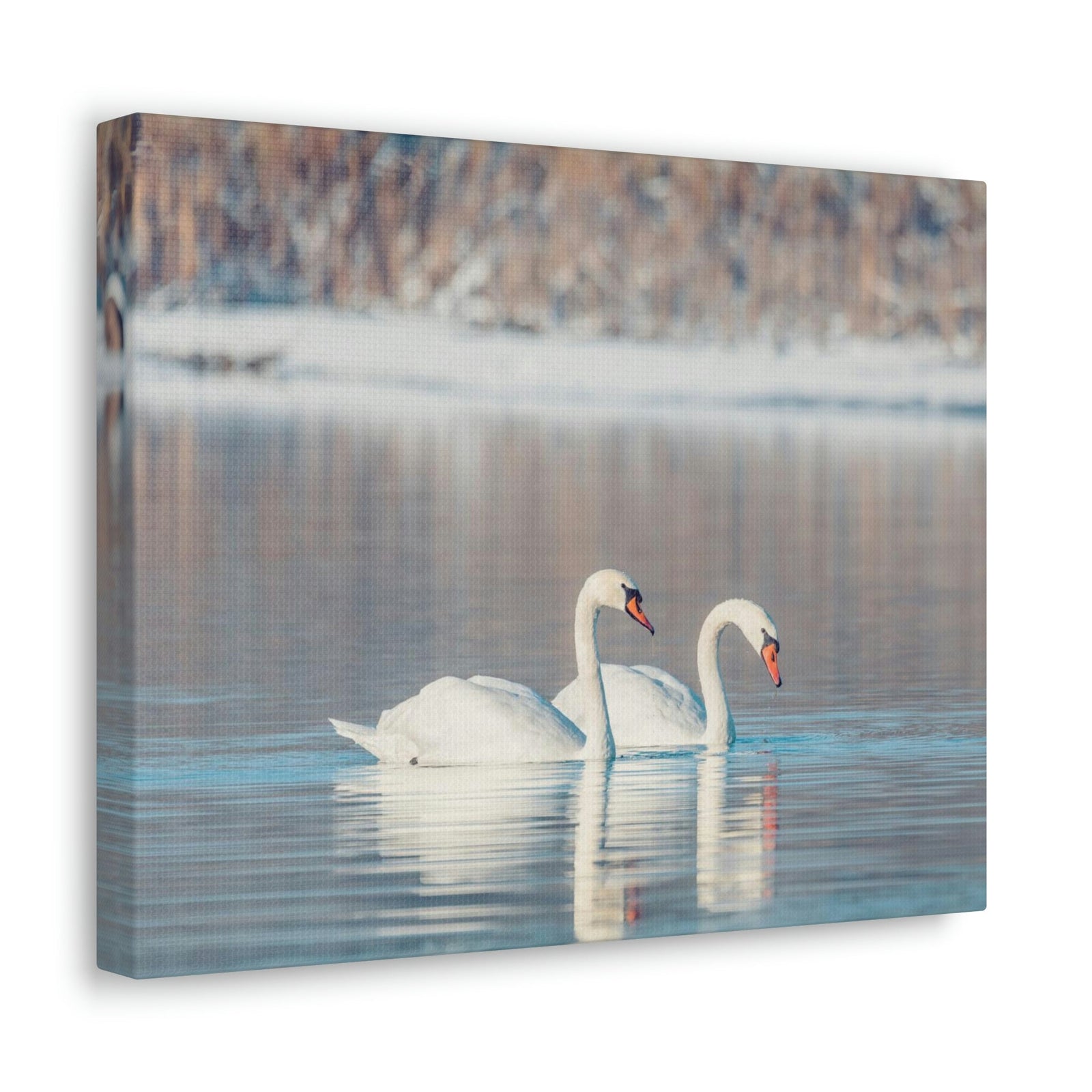 Scripture Walls Swan Couple Swan Couple Print Animal Wall Art Wildlife Canvas Prints Wall Art Ready to Hang Unframed-Express Your Love Gifts