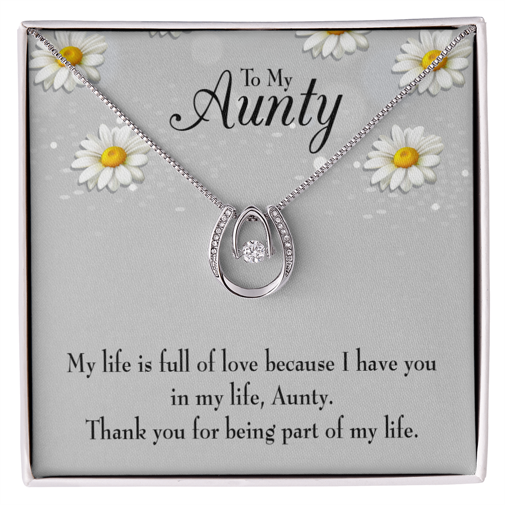 Thank You Auntie Lucky Horseshoe Necklace Message Card 14k w CZ Crystals-Express Your Love Gifts