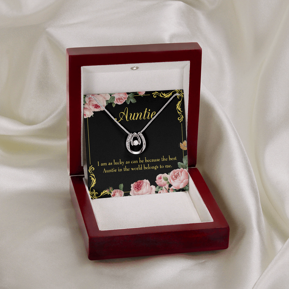 To My Aunt Best Auntie Lucky Horseshoe Necklace Message Card 14k w CZ Crystals-Express Your Love Gifts