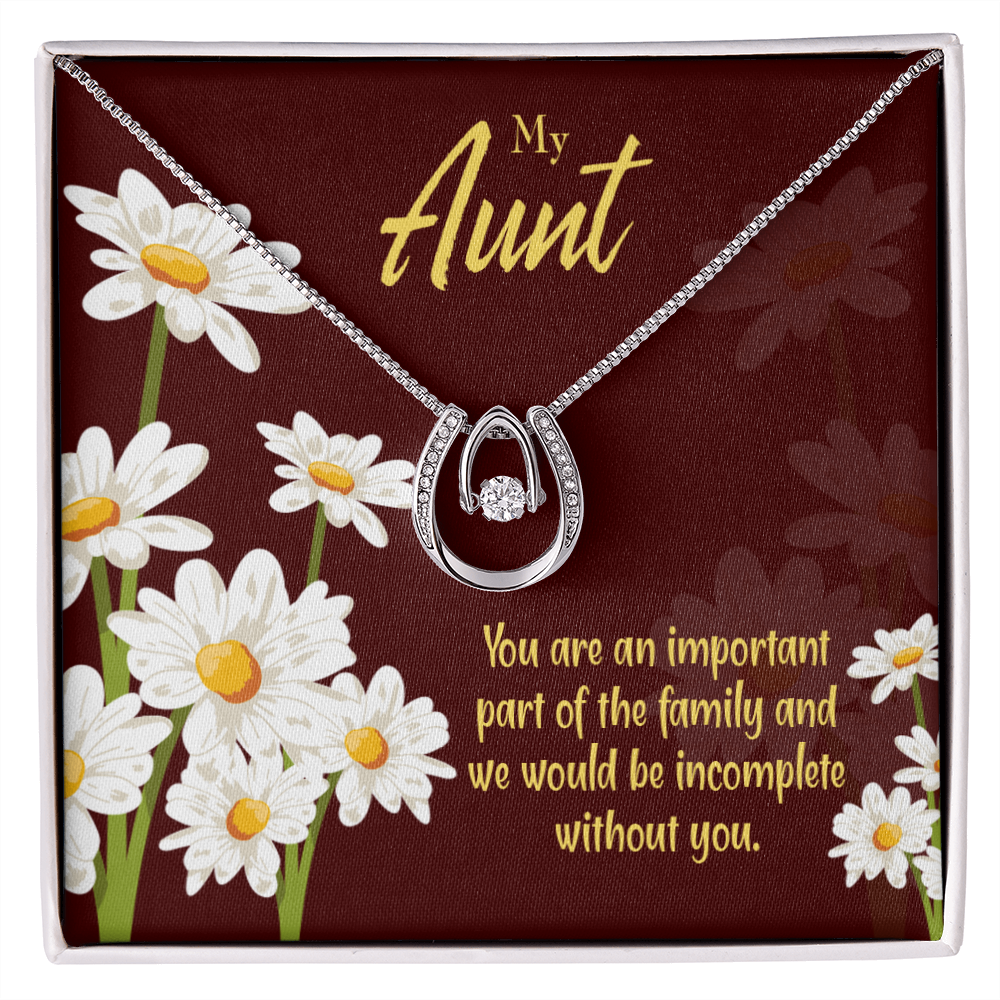 To My Aunt Importance Lucky Horseshoe Necklace Message Card 14k w CZ Crystals-Express Your Love Gifts